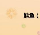 鯰魚（說一說鯰魚的簡介）