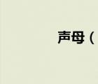 聲母（說一說聲母的簡(jiǎn)介）