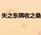 失之東隅收之桑榆的意思及典故（失之東隅）