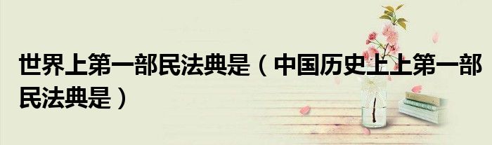 世界上第一部民法典是（中國(guó)歷史上上第一部民法典是）