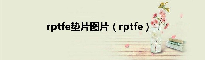 rptfe墊片圖片（rptfe）