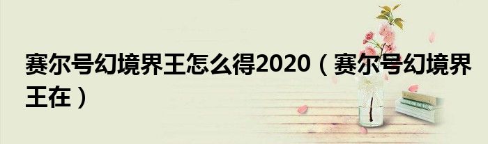 賽爾號(hào)幻境界王怎么得2020（賽爾號(hào)幻境界王在）