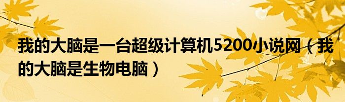 我的大腦是一臺超級計算機5200小說網(wǎng)（我的大腦是生物電腦）
