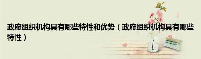 政府組織機(jī)構(gòu)具有哪些特性和優(yōu)勢(shì)（政府組織機(jī)構(gòu)具有哪些特性）