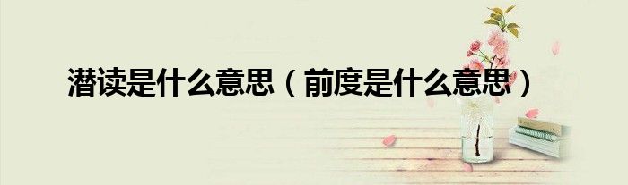 潛讀是什么意思（前度是什么意思）