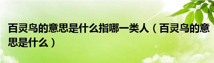 百靈鳥的意思是什么指哪一類人（百靈鳥的意思是什么）