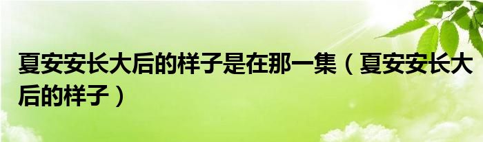 夏安安長大后的樣子是在那一集（夏安安長大后的樣子）