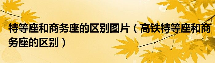 特等座和商務(wù)座的區(qū)別圖片（高鐵特等座和商務(wù)座的區(qū)別）