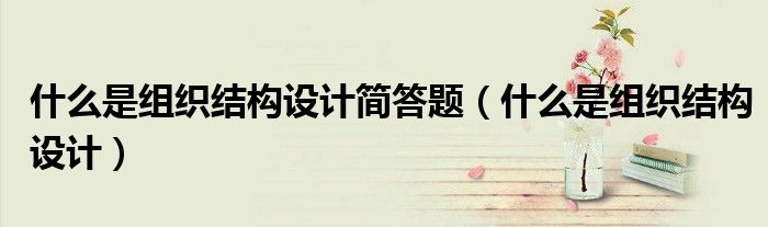 什么是組織結構設計簡答題（什么是組織結構設計）