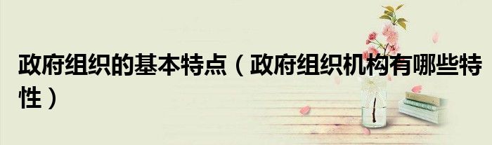 政府組織的基本特點（政府組織機構(gòu)有哪些特性）