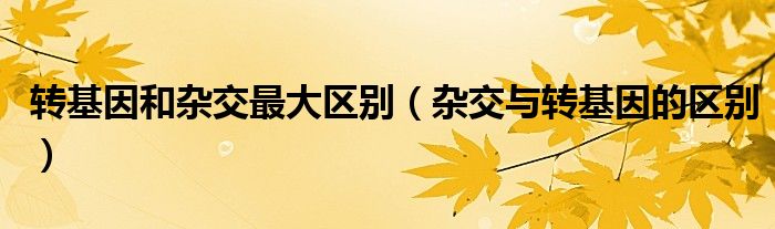 轉(zhuǎn)基因和雜交最大區(qū)別（雜交與轉(zhuǎn)基因的區(qū)別）
