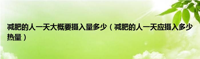 減肥的人一天大概要攝入量多少（減肥的人一天應(yīng)攝入多少熱量）