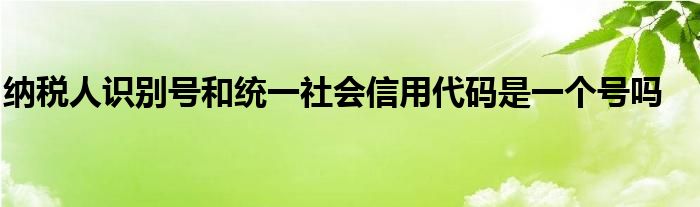 納稅人識別號和統(tǒng)一社會信用代碼是一個號嗎