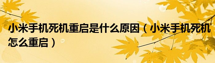 小米手機(jī)死機(jī)重啟是什么原因（小米手機(jī)死機(jī)怎么重啟）