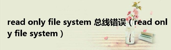 read only file system 總線錯(cuò)誤（read only file system）