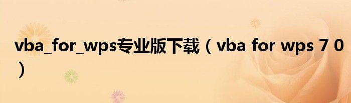 vba_for_wps專業(yè)版下載（vba for wps 7 0）