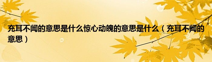 充耳不聞的意思是什么驚心動(dòng)魄的意思是什么（充耳不聞的意思）