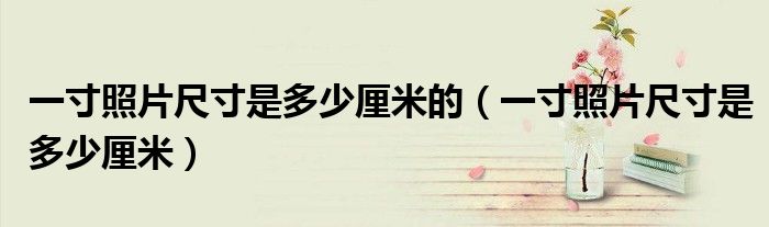 一寸照片尺寸是多少厘米的（一寸照片尺寸是多少厘米）