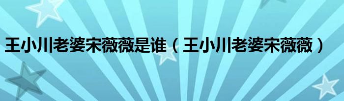 王小川老婆宋薇薇是誰（王小川老婆宋薇薇）