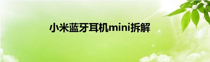 小米藍(lán)牙耳機(jī)mini拆解