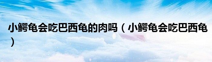 小鱷龜會吃巴西龜?shù)娜鈫幔ㄐ△{龜會吃巴西龜）