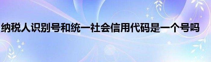 納稅人識別號和統(tǒng)一社會信用代碼是一個號嗎