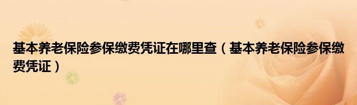 基本養(yǎng)老保險(xiǎn)參保繳費(fèi)憑證在哪里查（基本養(yǎng)老保險(xiǎn)參保繳費(fèi)憑證）