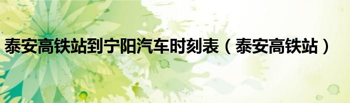 泰安高鐵站到寧陽汽車時刻表（泰安高鐵站）