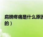肩膀疼痛是什么原因怎樣鍛煉好（肩膀疼痛是什么原因造成的）