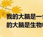 我的大腦是一臺超級計算機5200小說網(wǎng)（我的大腦是生物電腦）