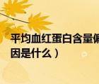 平均血紅蛋白含量偏低的原因（平均血紅蛋白含量偏低的原因是什么）