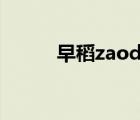 早稻zaodao百科（早稻網(wǎng)官網(wǎng)）