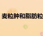 麥粒腫和脂肪粒的區(qū)別（內(nèi)外麥粒腫的區(qū)別）