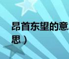 昂首東望的意思10個(gè)字以下（昂首東望的意思）