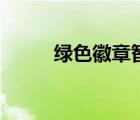 綠色徽章智力和暴擊（綠色徽章）