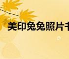 美印兔兔照片書官網(wǎng)（美印兔兔上傳照片）