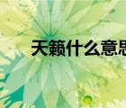 天籟什么意思解釋（天籟意思是什么）