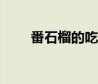 番石榴的吃法圖片（番石榴的吃法）