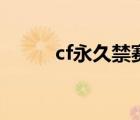 cf永久禁賽是什么（cf永久禁賽）