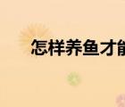 怎樣養(yǎng)魚才能活得更久（怎么樣養(yǎng)魚）