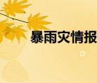 暴雨災(zāi)情報告范文（災(zāi)情報告范文）