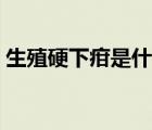 生殖硬下疳是什么樣子（硬下疳是什么樣子）