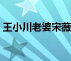 王小川老婆宋薇薇是誰（王小川老婆宋薇薇）