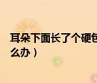 耳朵下面長了個硬包痛是怎么回事（耳朵下面長了個硬包怎么辦）