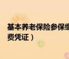 基本養(yǎng)老保險(xiǎn)參保繳費(fèi)憑證在哪里查（基本養(yǎng)老保險(xiǎn)參保繳費(fèi)憑證）