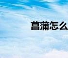 菖蒲怎么讀拼音（菖蒲怎么讀）