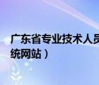 廣東省專業(yè)技術(shù)人員管理平臺(tái)（廣東省專業(yè)技術(shù)網(wǎng)上申報(bào)系統(tǒng)網(wǎng)站）