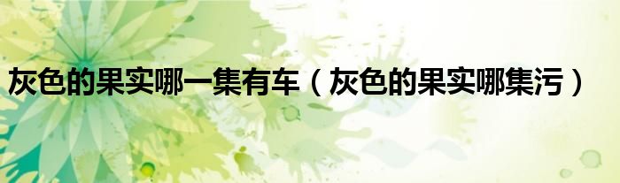 灰色的果實哪一集有車（灰色的果實哪集污）