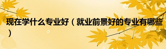現(xiàn)在學什么專業(yè)好（就業(yè)前景好的專業(yè)有哪些）