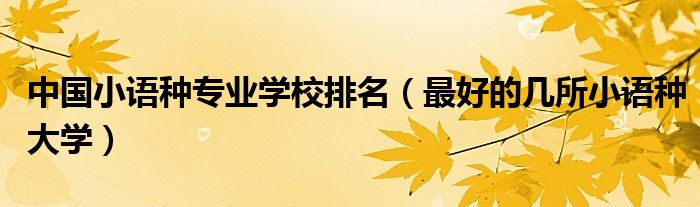 中國(guó)小語(yǔ)種專業(yè)學(xué)校排名（最好的幾所小語(yǔ)種大學(xué)）